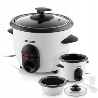 Garnek, urządzenie do gotowania ryżu, ryżowar HYUNDAI RC 060 RC060 0,6l — zdjęcie 1